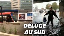 À Nice, les images des rues inondées et d'un tramway noyé par les flots