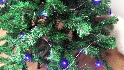 Disney Vampirina - Árvore de Natal Inspirado na Vampirina -  Disney Junior