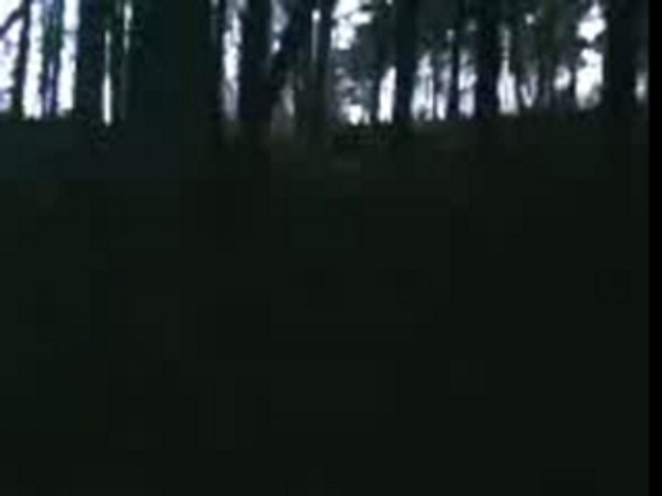 kéké en sau
