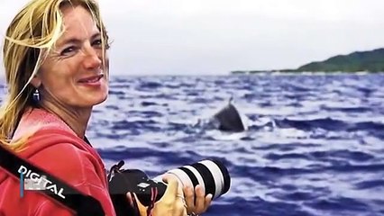 Una ballena no dejaba a una buzo en paz y cuando comprendió la razón entró en shock