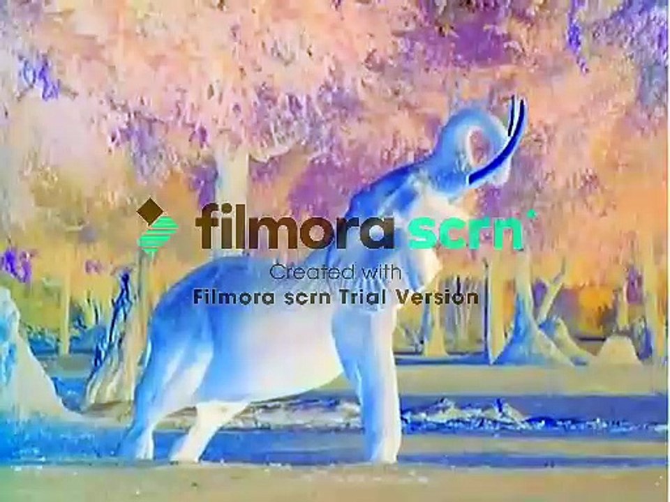 World Animals in G Major [Part 2]