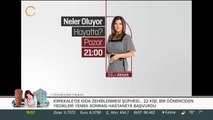 Neler Oluyor Hayatta