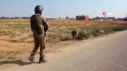 MSB: "Tel Abyad'da Türkiye'ye yönlendirilmiş ve seri bağlanmış vaziyette 75 adet Roket tespit...