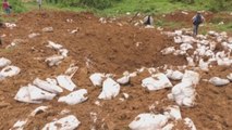 Gobierno de Perú  destruye pistas de aterrizaje del narcotráfico en la selva