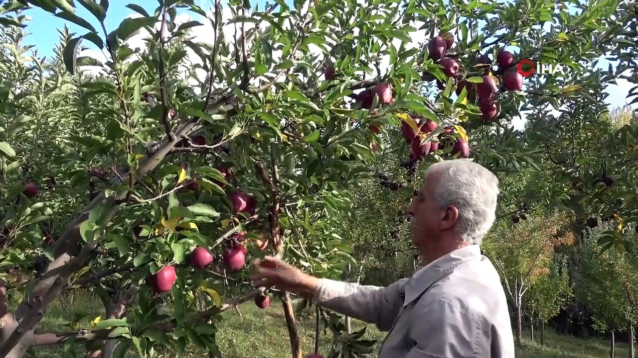 Hobi Olarak Başladığı Meyveciliği, Verim Artınca Ticarete Dönüştürdü
