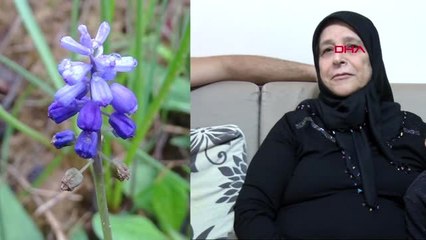 Adana keşfettiği sümbül türlerine; annesi, oğlu ve yeğeninin adını verdi 2