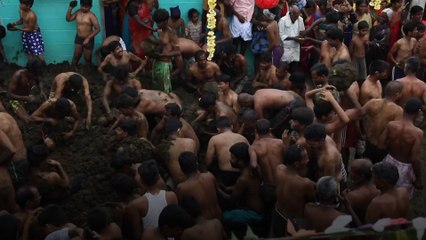 Faecal festival - cow dung fight brings villagers 'good health'