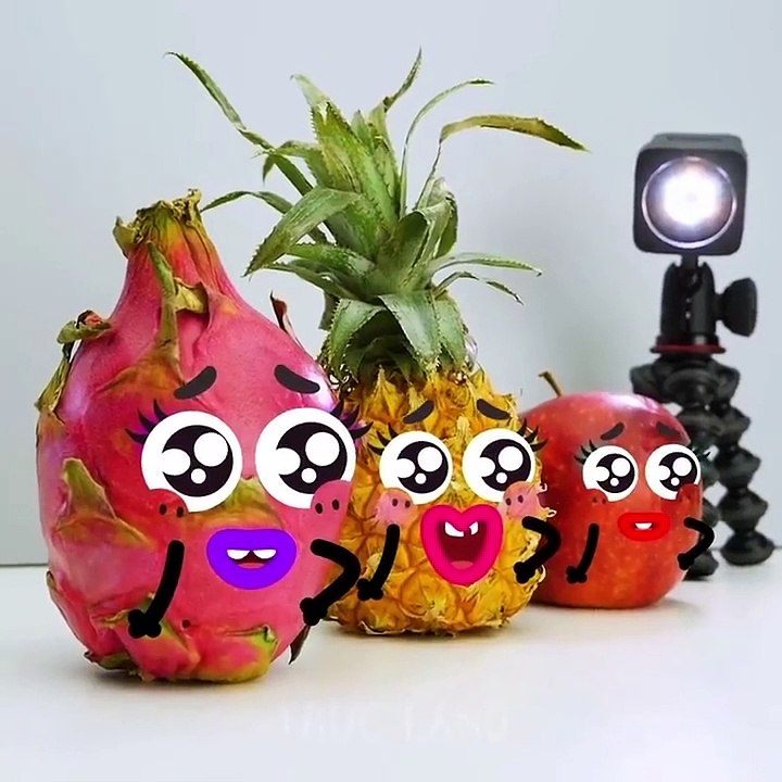 Tout est plus cool avec les trucs – TRUC-LAND