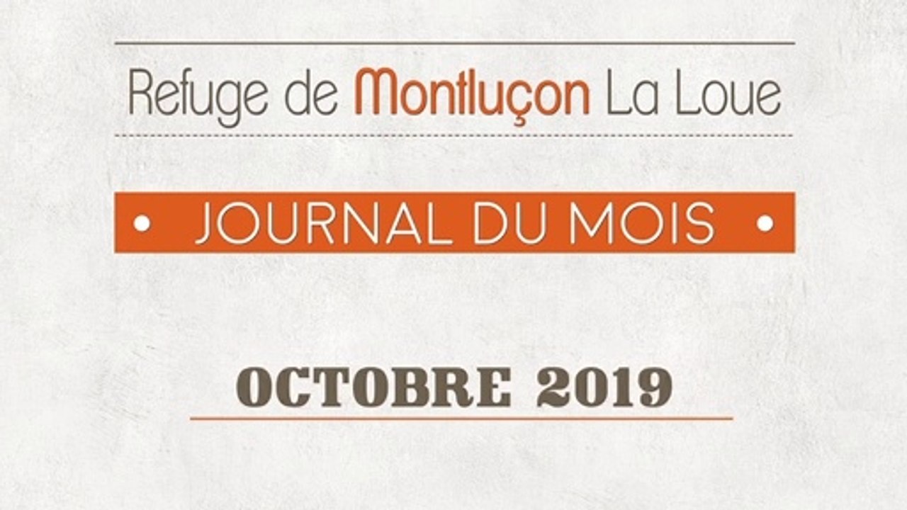 Un mois au refuge SPA de Montluçon : octobre 2019