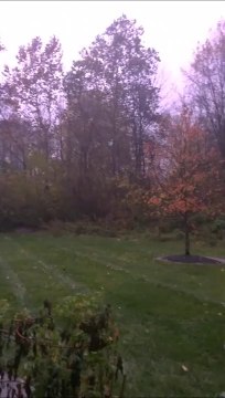 Des éclairs tellement puissants qu'on se croirait en plein jour pendant cet orage de nuit
