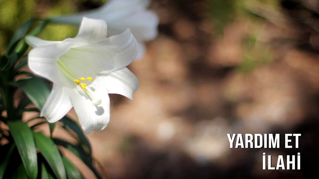 Müziksiz İlahiler - Yardım Et