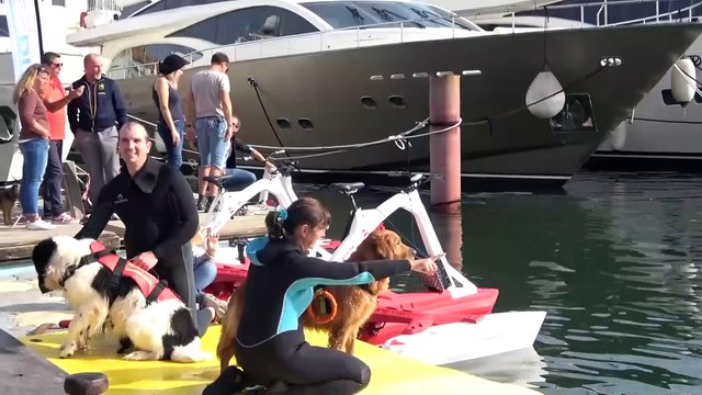 LE CAP D'AGDE - Les Pattounes du Sud au Salon Nautique d'Automne