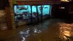 Trabzon'da şiddetli yağış sonrası yollar göle döndü, iş yerlerini su bastı