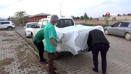 İşkence edilen köpeği, Vali Gündüzöz sahiplendi