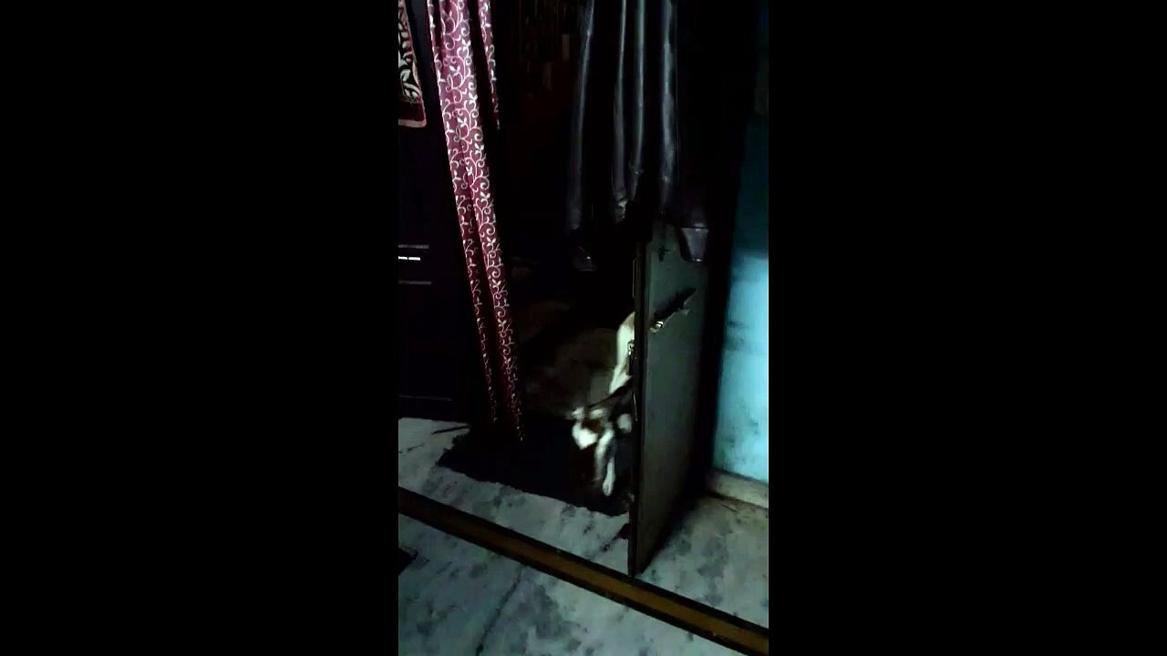 Goat Goes for Some Privacy