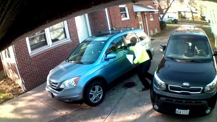 Dog Scares Delivery Man on Top of Car