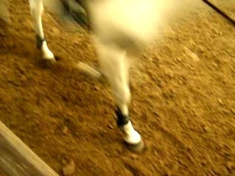 cours 4/5 club hippique de roubaix