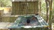 Build the Most Amazing Bamboo Villa Swimming Pool in Deep Jungle by Ancient Skills
