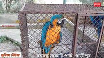 বঙ্গবন্ধু সাফারি পার্ক গাজীপুর - Bongobondhu safari park Gazipur in Bangladesh - Bongobondhu park