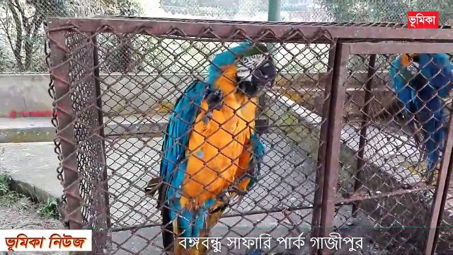 বঙ্গবন্ধু সাফারি পার্ক Bongobondhu safari park Gazipur Safari Park Gazipur