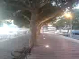 Mec de Cassis qui ce marave !