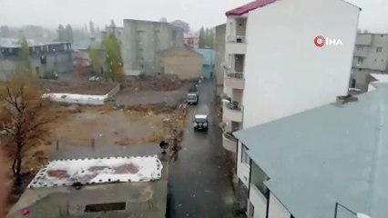 Çobanlar sürüleriyle tipiye yakalandı