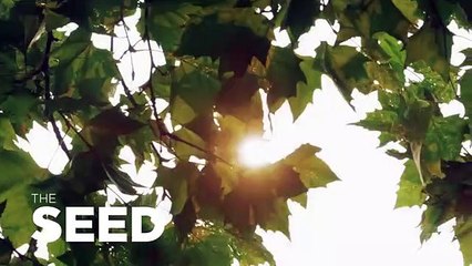 Inan Toker Found this video on Youtube and Share on Social Network