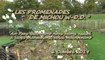 LES PROMENADES DE MICHOU W-D.D. - 6 OCTOBRE 2019 - PAU - PROMENADE DOMINICALE POUR ADMIRER LE FLEURISSEMENT DU JARDIN SENSORIEL DU PARC BEAUMONT.