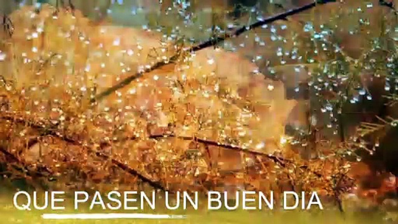 Conoce El Tiempo de Hoy Sábado 02 de Noviembre de 2019