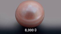 ค้นพบไข่มุกอายุเก่าแก่ที่สุดในโลก อายุ 8,000 ปี ที่อาบูดาบี! เปิดตำนานอัญมณี/สิ่งของก้องโลกNo47