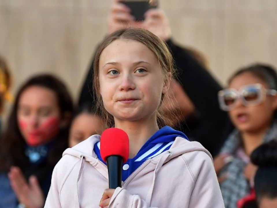 Greta Thunberg lehnt Umweltpreis und 47.000 Euro ab