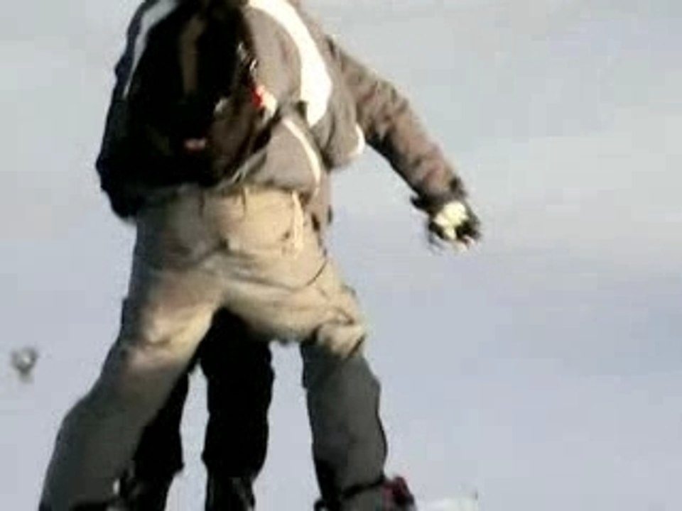 La joue du loup janvier 2008