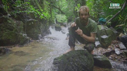 The Jungle Tracking Monsoon In Goa | Alex Carpenter | Goutham Bhagat