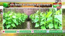 Kisan Bulletin : मगही पान को मिला जीआई का टैग : Grameen News