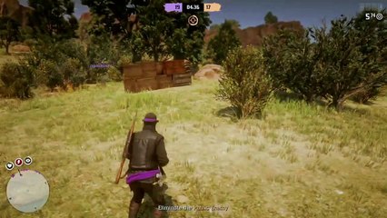 What Is Going On XD - Red Dead Online