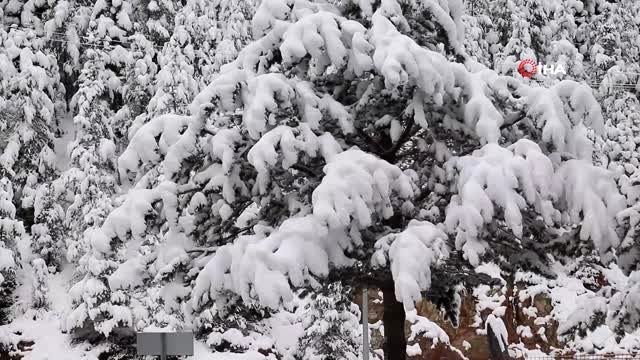 Zigana Dağı beyaz gelinliğini giydi..Kar kalınlığı 20 santimetreyi aştı