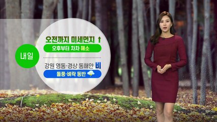 [날씨] 내일 오전 미세먼지↑...흐리고 곳곳 비 소식 / YTN