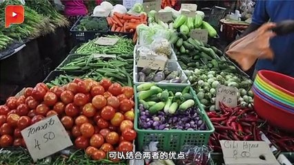 “实权财长”后 IDEAS：应结合GST推RSST