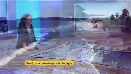 Brésil : une catastrophe écologique due à une marée noire