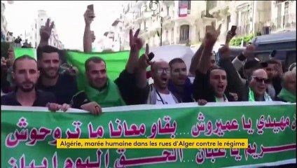 Algérie : marée humaine à Alger contre le régime
