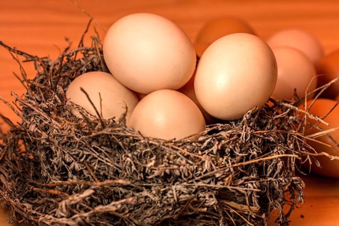 Rüyada yumurta görmek ne anlama gelir? Rüyada yumurta görmek nedir?