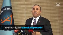 Çavuşoğlu: 'YPG/PKK devleti kurmak istiyorlardı'