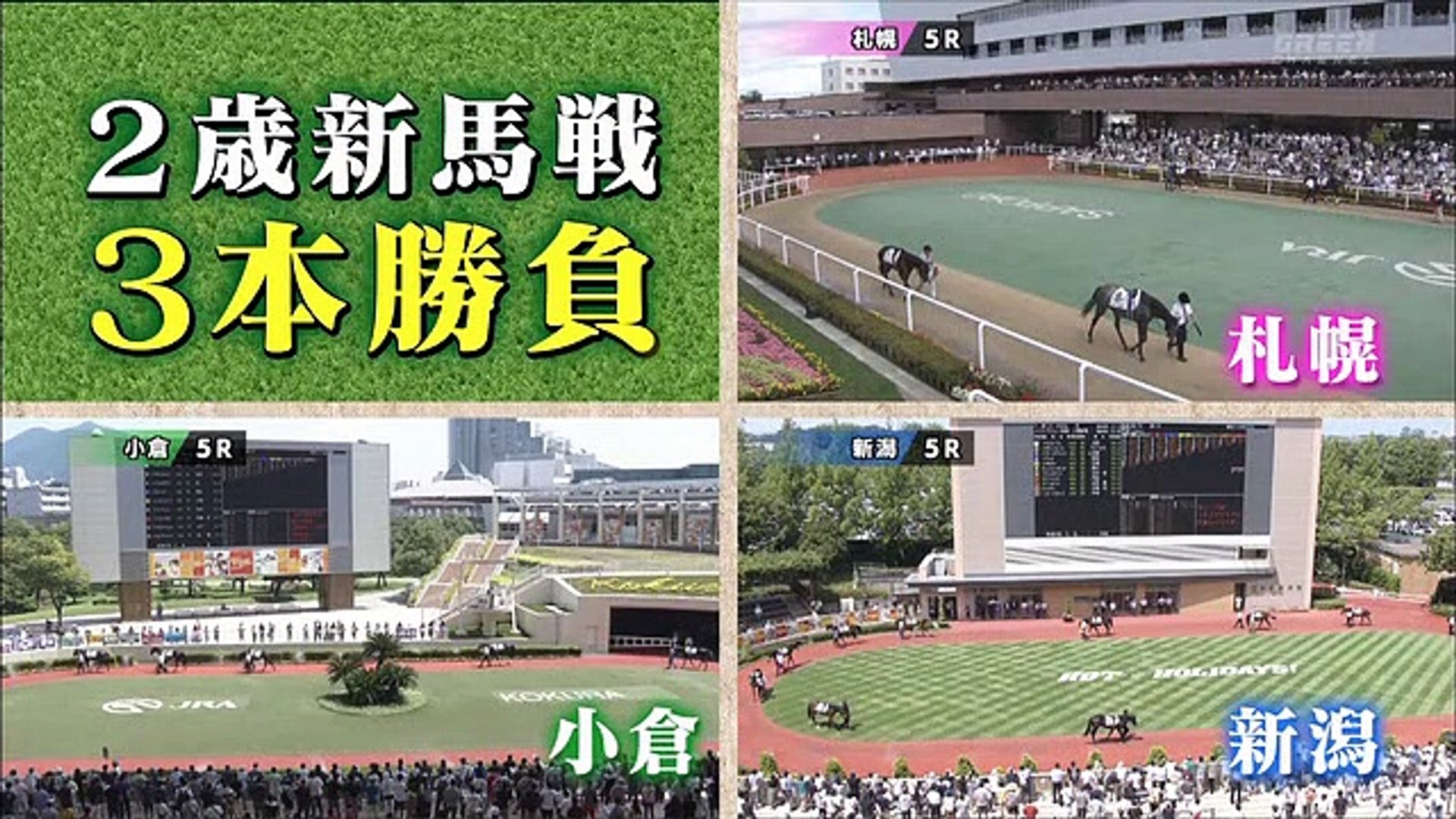 競馬場の達人 栗山求 442 動画 Dailymotion