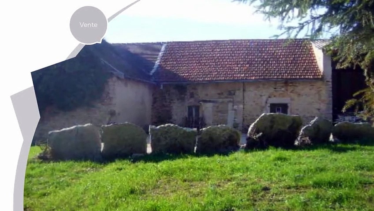 A vendre - Maison - SAINT BAUDILLE DE LA TOUR (38118) - 1 pièce