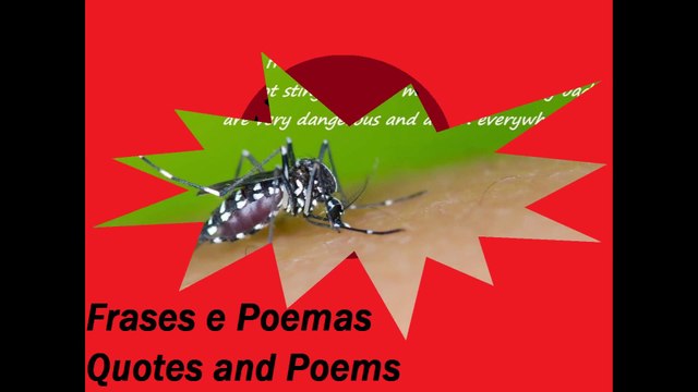 Fake friends are like the dengue mosquito: Are very dangerous! [Quotes and Poems]