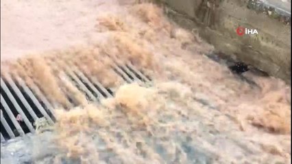 İzmir, Venedik'e döndü