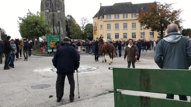 Revivez la 18e foire aux chevaux de Carhaix