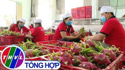 Chuyện hôm nay: Đồng bằng sông Cửu Long liên kết để hội nhập