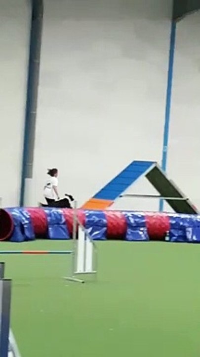 Agility, Lili et Poket championnat de France des jeunes conducteurs 2019