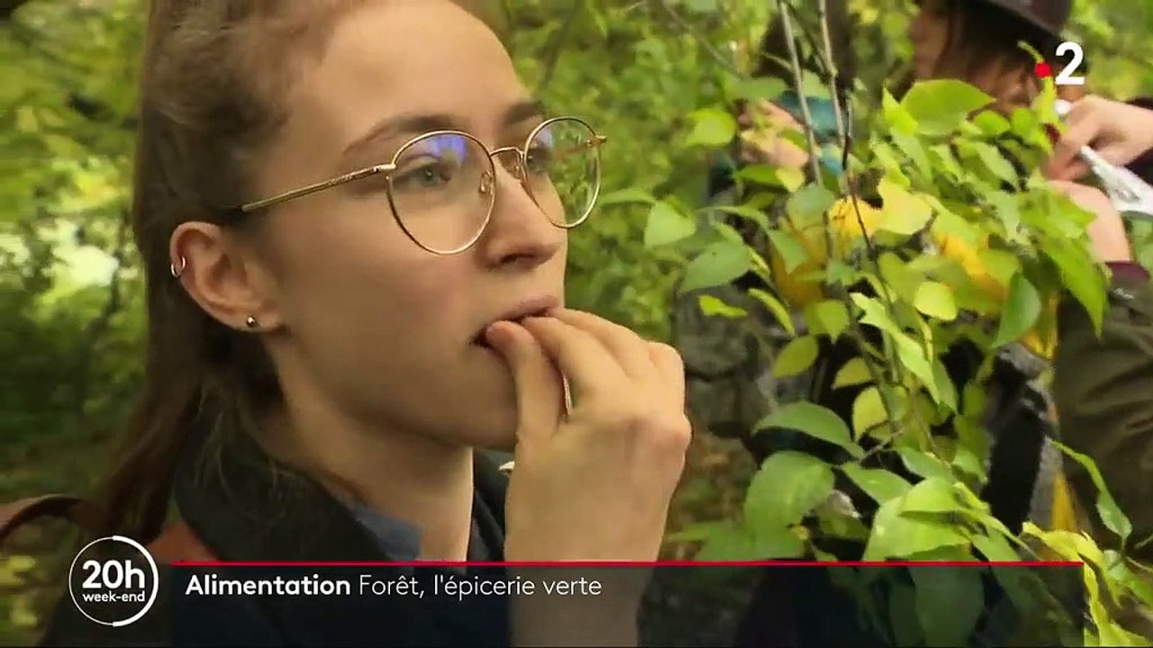 Alimentation : la forêt, une véritable épicerie verte